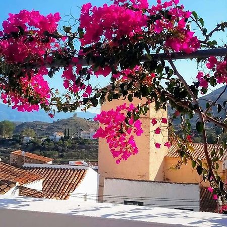 Casa Caballito De Mar Boutique B&B Bédar 外观 照片