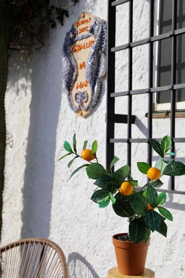 Casa Caballito De Mar Boutique B&B Bédar 外观 照片