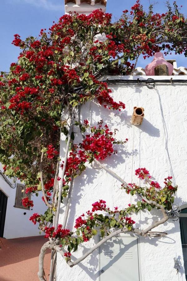 Casa Caballito De Mar Boutique B&B Bédar 外观 照片