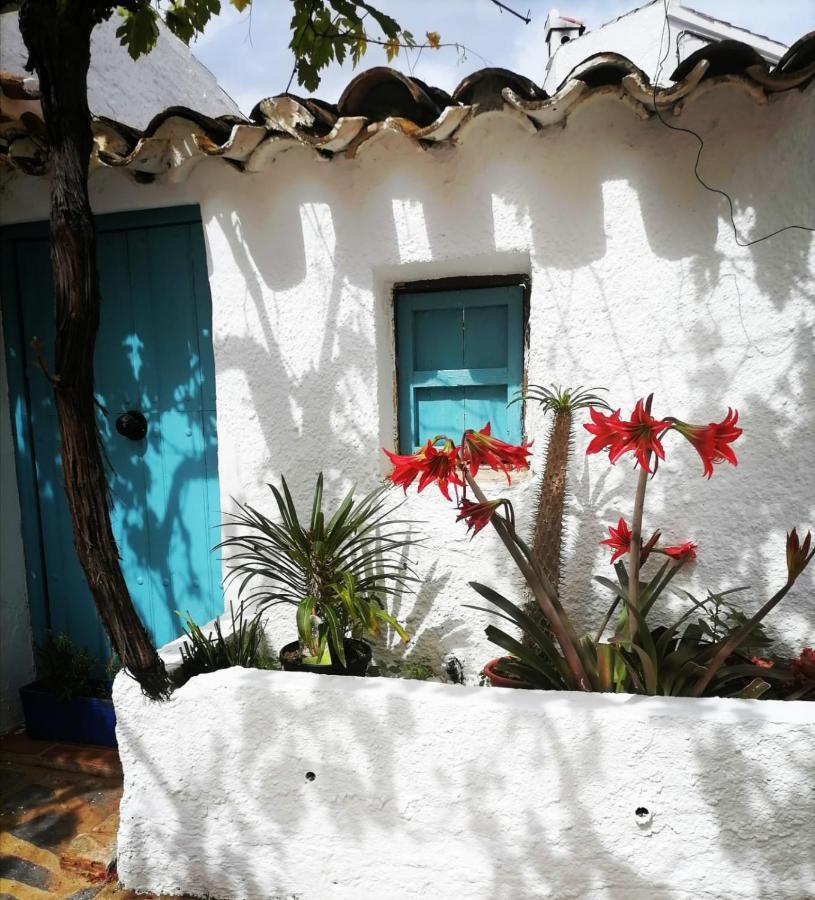 Casa Caballito De Mar Boutique B&B Bédar 外观 照片