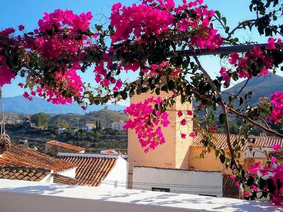 Casa Caballito De Mar Boutique B&B Bédar 外观 照片